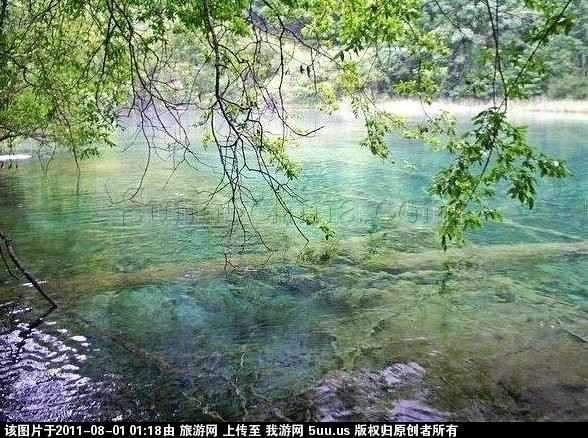 火花海 1.jpg